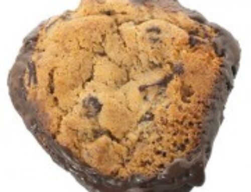 Chocolate Chip with Chocolate Bottom