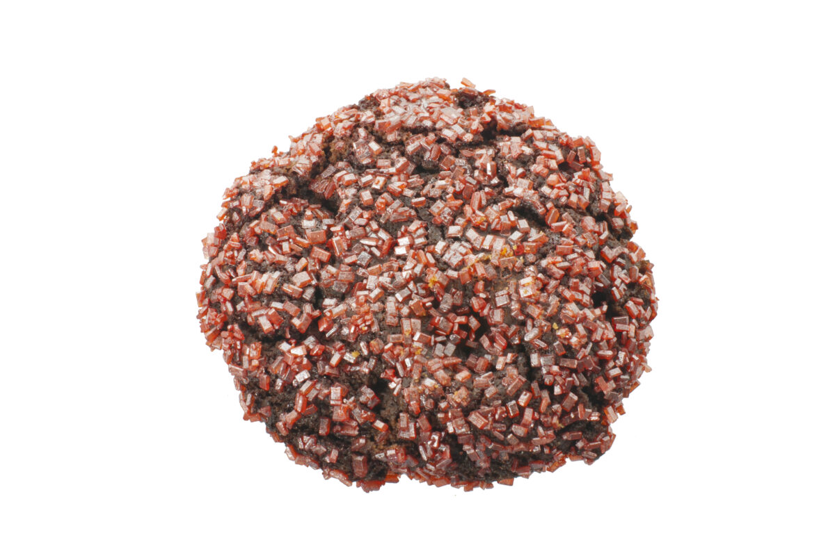 SpicyHotChoc_0603 spicy hot chocolate cookie