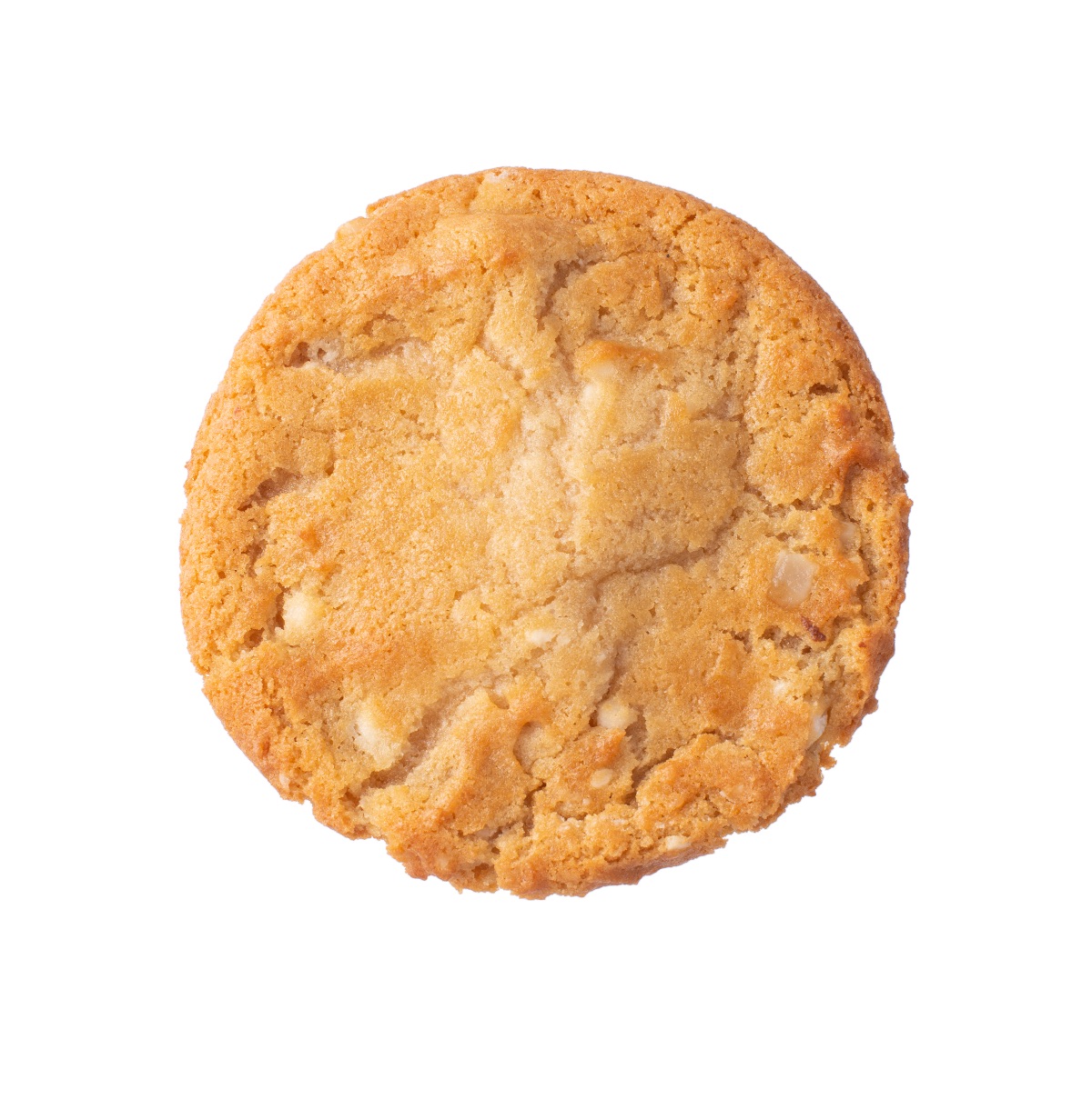 macadamia nut cookie